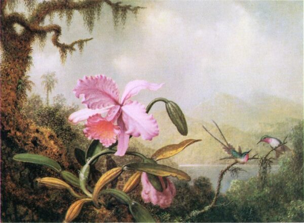 Orchids and Hummingbirds near a Mountain Lake by Martin Johnson Heade, hand-painted oil painting reproduction
