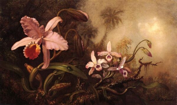 Orchids and a Beetle by Martin Johnson Heade, hand-painted oil painting reproduction