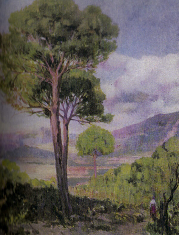 Paisaje con arbol by Fernando Cabrera Canto, hand-painted oil painting reproduction
