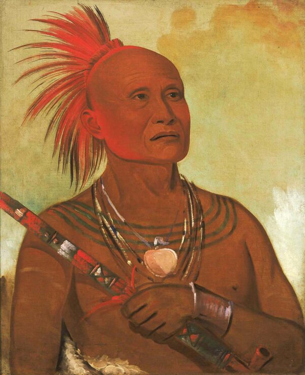 Pam a ho, The Swimmer, One of Black Hawk’s Warriors by George Catlin, hand-painted oil reproduction