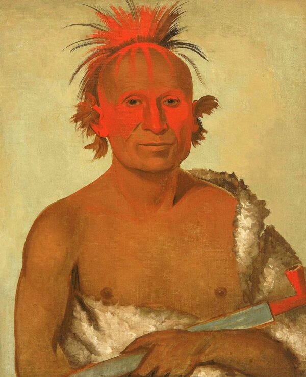 Pash ee pa ho, Little Stabbing Chief, the Younger, One of Black Hawk’s Braves by George Catlin, hand-painted oil painting reproduction