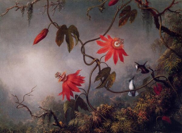 Passion Flowers and Hummingbirds by Martin Johnson Heade, hand-painted oil painting reproduction
