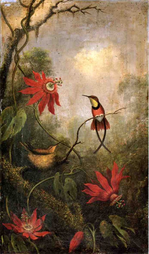 Passion Flowers and Hummingbirds II by Martin Johnson Heade, hand-painted oil painting reproduction