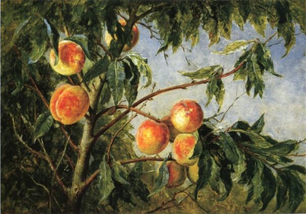 Peaches by Thomas Worthington Whittredge, hand-painted oil painting reproduction