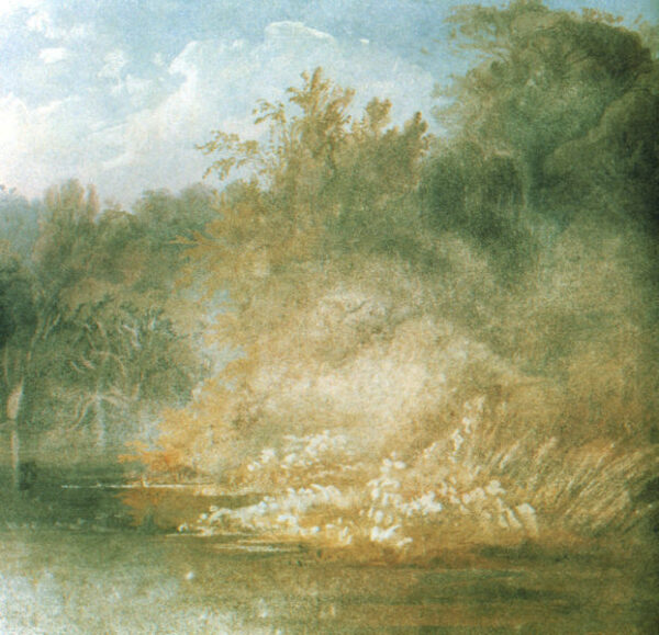 Forest Scene on the Lehigh River in Pennsylvania by Karl Bodmer, hand-painted oil painting reproduction