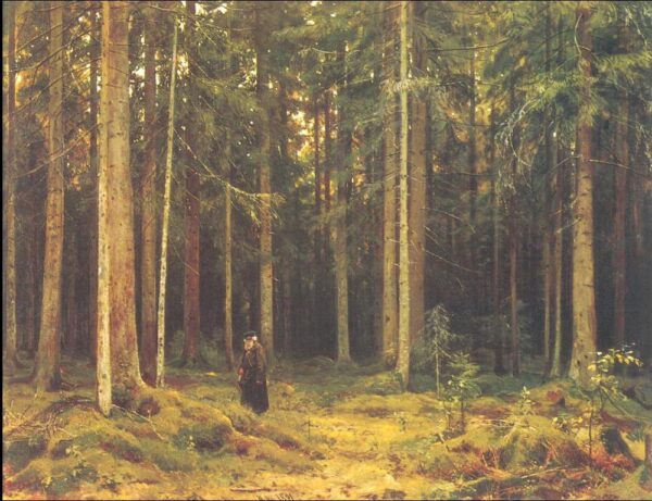 In the Forest of Countess Mordvinova, Petergof by Ivan Shishkin, hand-painted oil painting reproduction