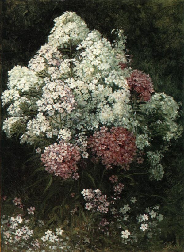 Phlox by David Johnson, hand-painted oil painting reproduction