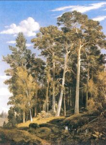 Pine Forest by Ivan Shishkin, hand-painted oil painting reproduction
