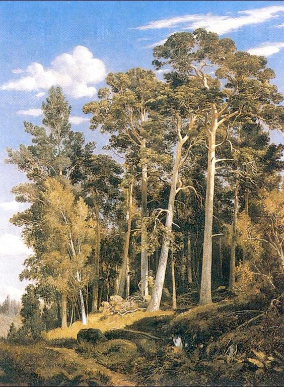 Pine Forest by Ivan Shishkin, hand-painted oil reproduction