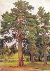 Pine Without Sunshine by Ivan Shishkin, hand-painted oil painting reproduction