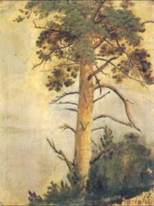 Pine on a Rock by Ivan Shishkin, hand-painted oil painting reproduction