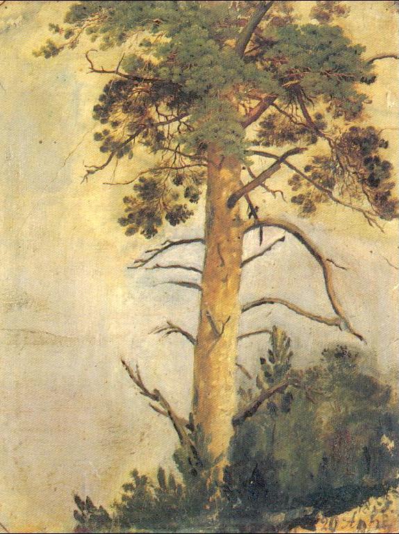 Pine on a Rock by Ivan Shishkin, hand-painted oil reproduction