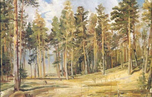 Pines by Ivan Shishkin, hand-painted oil painting reproduction