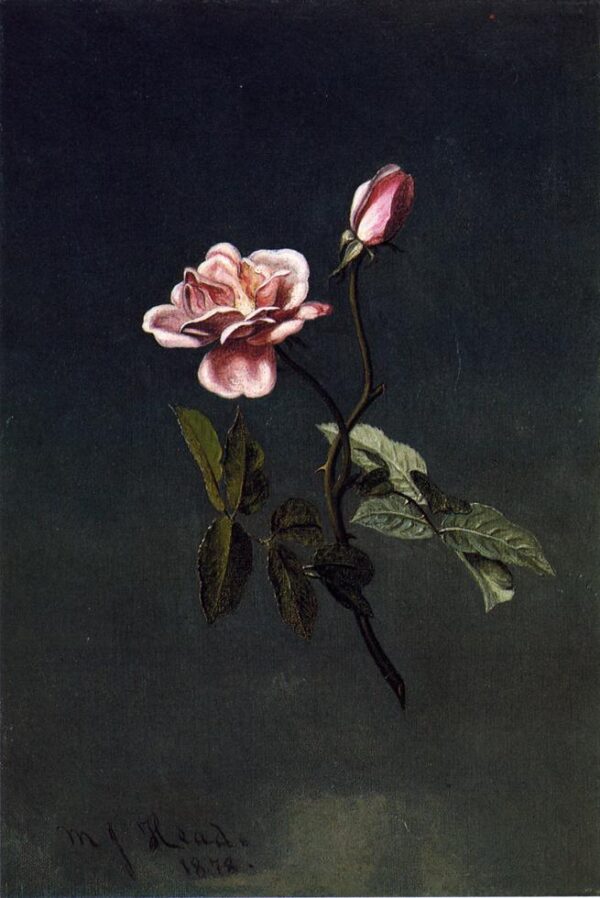 Pink Rose by Martin Johnson Heade, hand-painted oil painting reproduction