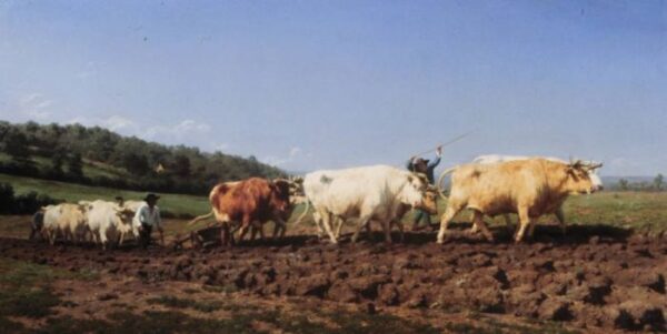 Plowing in Nivernais by Rosa Maria Bonheur, hand-painted oil painting reproduction