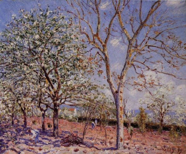 Plum and Walnut Trees in Spring by Alfred Sisley, hand-painted oil painting reproduction