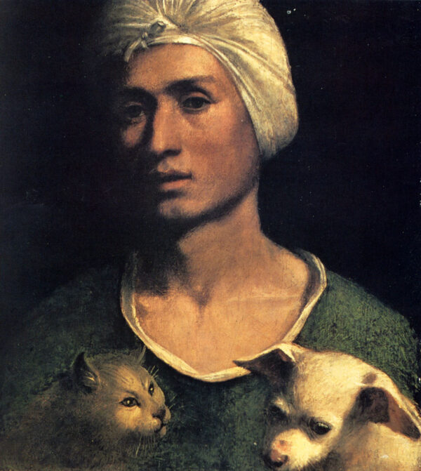 Portrait Of A Young Man With A Dog And A Cat by Dosso Dossi, hand-painted oil painting reproduction
