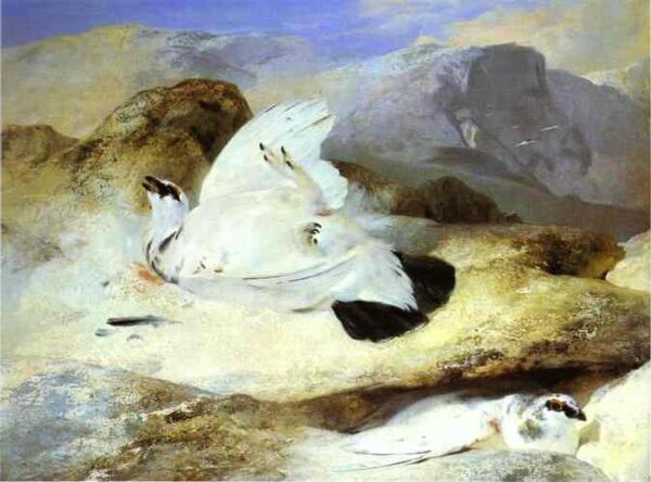Ptarmigan by Sir Edwin Landseer, hand-painted oil painting reproduction