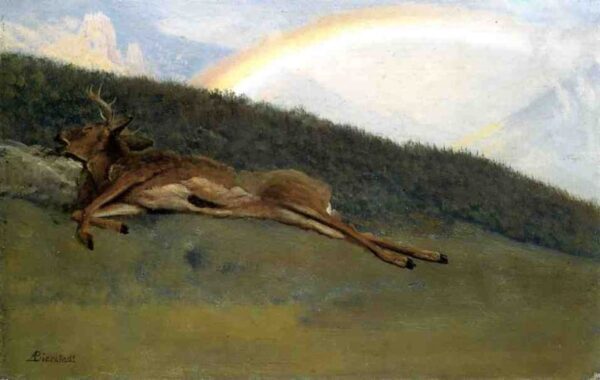 Rainbow over a Fallen Stag by Albert Bierstadt, hand-painted oil painting reproduction