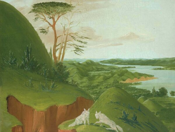 River Bluffs with White Wolves in the Foreground, Upper Missouri by George Catlin, hand-painted oil painting reproduction