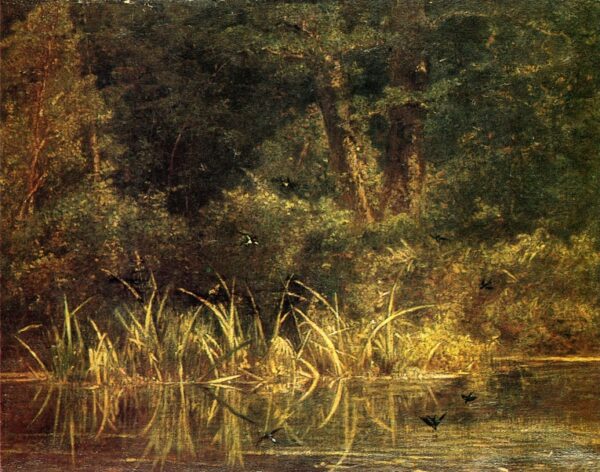River Scene with Barn Swallows by Karl Bodmer, hand-painted oil painting reproduction