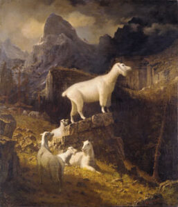 Rocky Mountain Goats by Albert Bierstadt, hand-painted oil painting reproduction