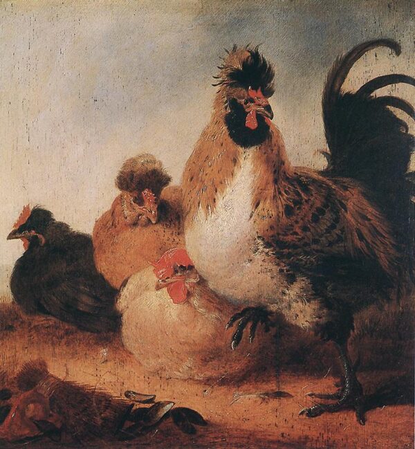 Rooster and Hens by Aelbert Cuyp, hand-painted oil painting reproduction