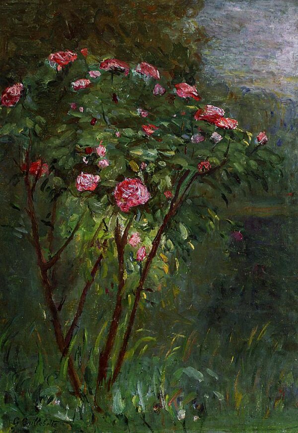 Rose Bush in Flower by Gustave Caillebotte, hand-painted oil painting reproduction