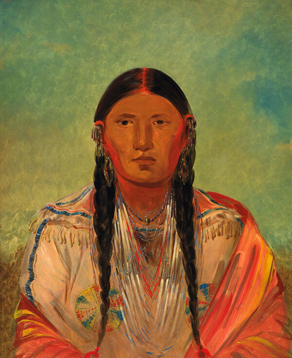 Ru ton wee me, Pigeon on the Wing by George Catlin, hand-painted oil painting reproduction