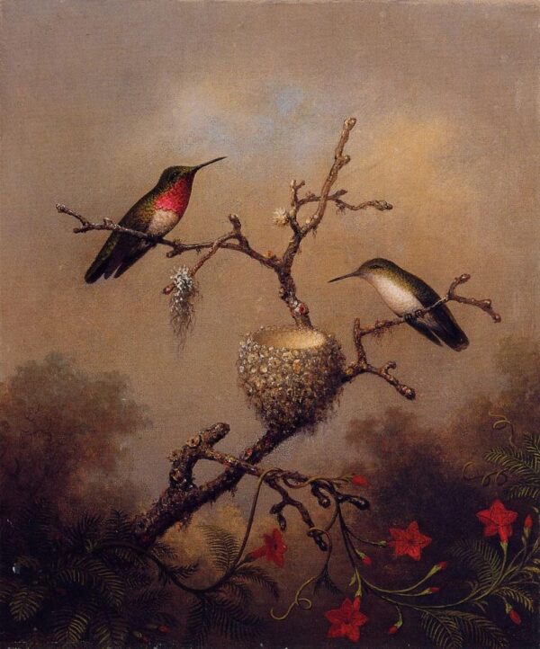 Ruby-Throated Hummingbird by Martin Johnson Heade, hand-painted oil painting reproduction