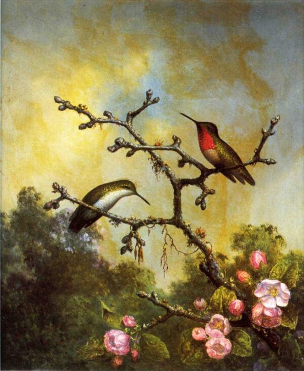 Ruby-Throated Hummingbirds with Apple Blossoms by Martin Johnson Heade, hand-painted oil painting reproduction
