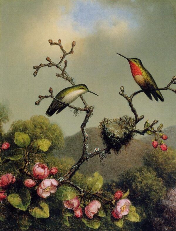 Ruby Throat of North America by Martin Johnson Heade, hand-painted oil painting reproduction