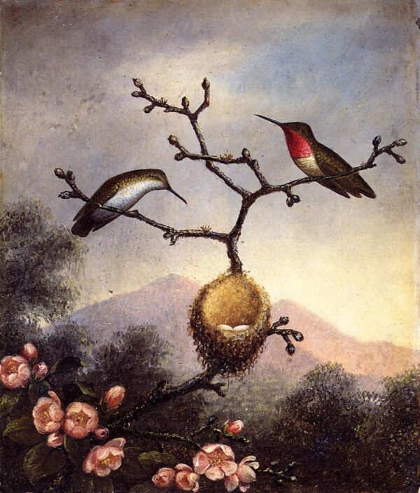 Ruby Throats with Apple Blossoms by Martin Johnson Heade, hand-painted oil reproduction