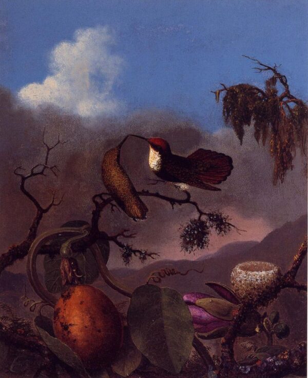 Ruby Topaz Hummingbirds by Martin Johnson Heade, hand-painted oil painting reproduction
