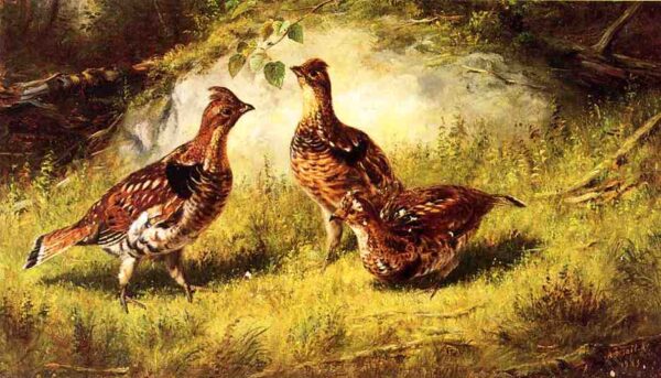 Ruffed Grouse by Arthur Fitzwilliam Tait, hand-painted oil reproduction