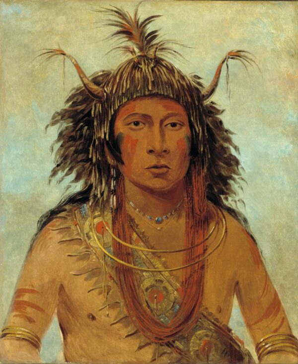 Say say gon, Hail Storm, War Chief by George Catlin, hand-painted oil painting reproduction