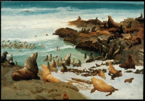 Seal Rocks, Farallons by Albert Bierstadt, hand-painted oil painting reproduction
