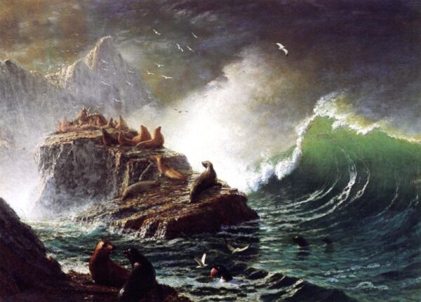 Seals on the Rocks, Farallon Islands by Albert Bierstadt, hand-painted oil painting reproduction