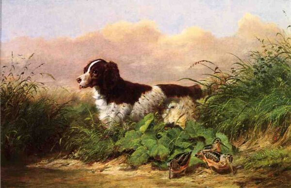 Setter and Woodcock by Arthur Fitzwilliam Tait, hand-painted oil painting reproduction