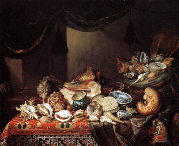 Shells by Bartolomeo Bimbi, hand-painted oil reproduction