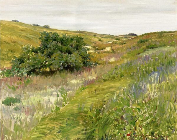 Shinnecock Hills by William Merritt Chase, hand-painted oil painting reproduction