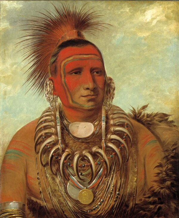 Shon ta yi ga, Little Wolf, a Famous Warrior by George Catlin, hand-painted oil painting reproduction