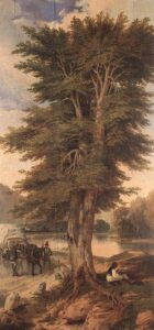 Signboard of the Green Tree by Miklós Barabás, hand-painted oil painting reproduction