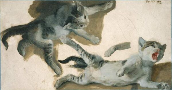 Sketches of a Kitten by Alexandre Francois Desportes, hand-painted oil painting reproduction