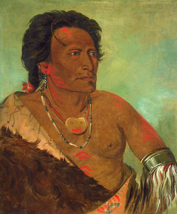 Sky se ro ka, Second Chief of the Tribe by George Catlin, hand-painted oil painting reproduction