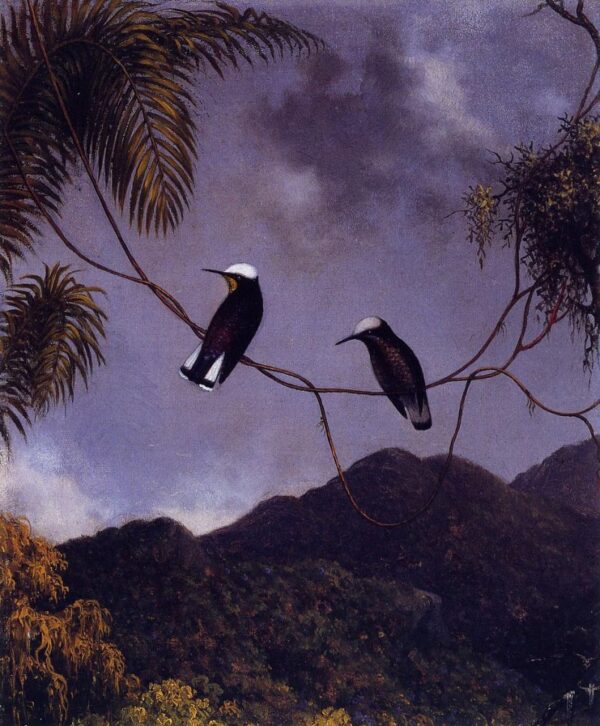 Snowcap by Martin Johnson Heade, hand-painted oil painting reproduction