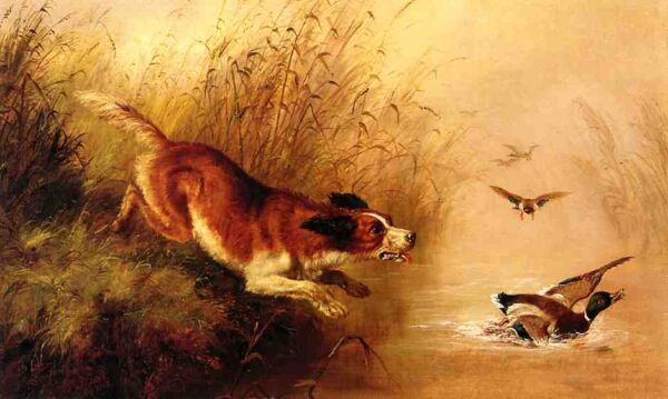 Spaniel Chasing Ducks by Arthur Fitzwilliam Tait, hand-painted oil painting reproduction