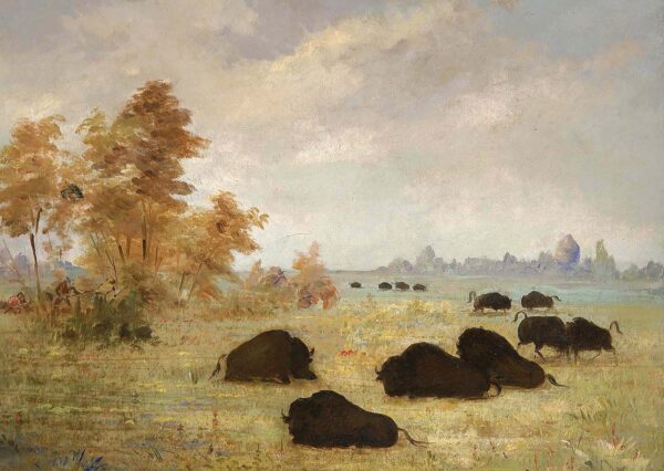 Stalking Buffalo, Arkansas by George Catlin, hand-painted oil painting reproduction