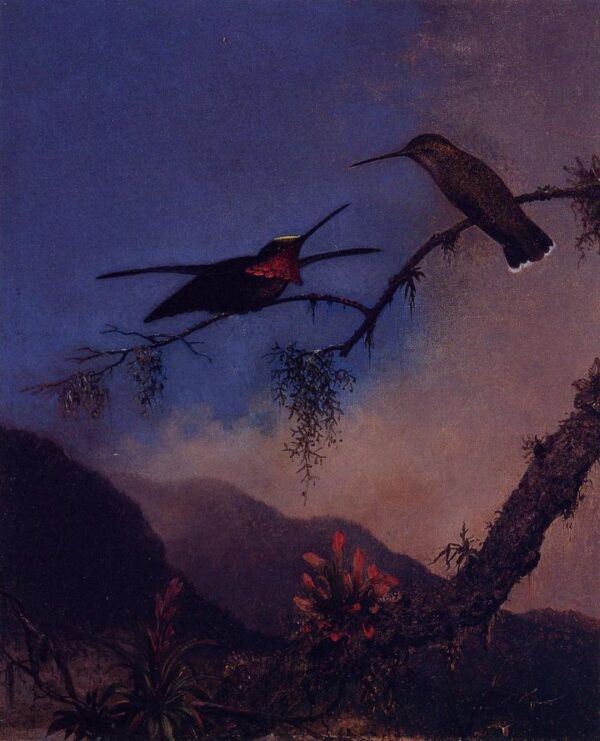 Strip-Breasted Starthroat by Martin Johnson Heade, hand-painted oil painting reproduction