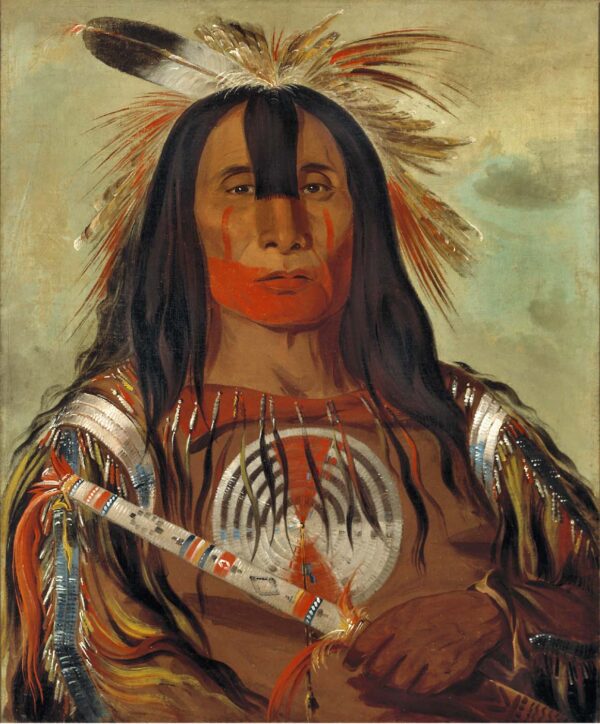 Stu mick o sucks, Buffalo Bull’s Back Fat, Head Chief, Blood Tribe by George Catlin, hand-painted oil painting reproduction